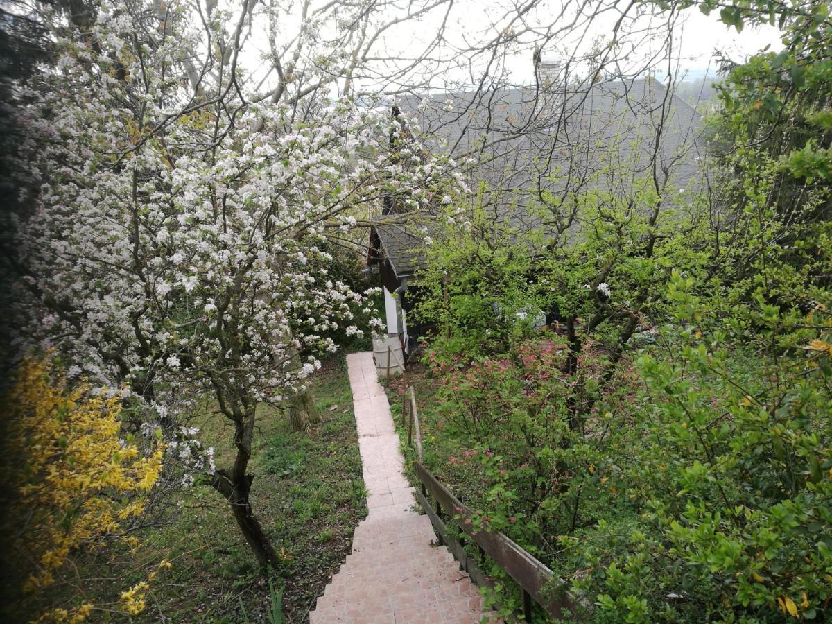 Holiday House Cervena Veza Пиещани Екстериор снимка